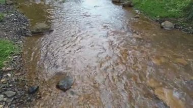 dağ nehri. Nehirlerin dibi çamurdan yapılmıştır. Hızlı su. Taşlar ve temiz su. Dar bir nehri olan manzara. dere ve şelale