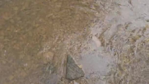 Rivière Montagne Fond Des Rivières Est Fait Argile Eau Rapide — Video