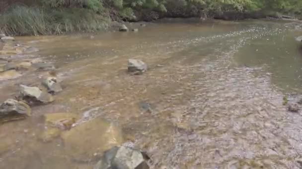 Dağ Nehri Nehirlerin Dibi Çamurdan Yapılmıştır Hızlı Taşlar Temiz Dar — Stok video