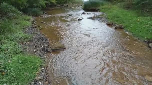 Горная Река Дно Рек Сделано Глины Быстрая Вода Камни Чистая — стоковое видео