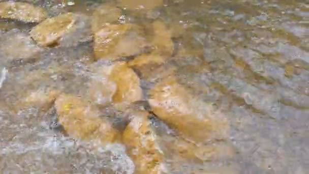 Río Montaña Fondo Los Ríos Está Hecho Barro Agua Rápida — Vídeos de Stock