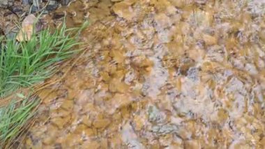 dağ nehri. Nehirlerin dibi çamurdan yapılmıştır. Hızlı su. Taşlar ve temiz su. Dar bir nehri olan manzara. dere ve şelale