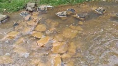 dağ nehri. Nehirlerin dibi çamurdan yapılmıştır. Hızlı su. Taşlar ve temiz su. Dar bir nehri olan manzara. dere ve şelale
