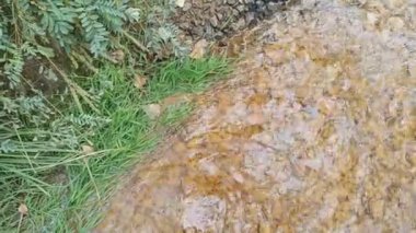 dağ nehri. Nehirlerin dibi çamurdan yapılmıştır. Hızlı su. Taşlar ve temiz su. Dar bir nehri olan manzara. dere ve şelale