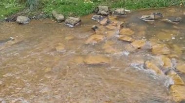 dağ nehri. Nehirlerin dibi çamurdan yapılmıştır. Hızlı su. Taşlar ve temiz su. Dar bir nehri olan manzara. dere ve şelale
