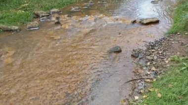 dağ nehri. Nehirlerin dibi çamurdan yapılmıştır. Hızlı su. Taşlar ve temiz su. Dar bir nehri olan manzara. dere ve şelale