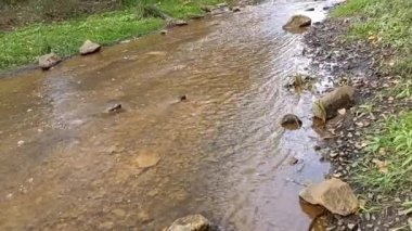 dağ nehri. Nehirlerin dibi çamurdan yapılmıştır. Hızlı su. Taşlar ve temiz su. Dar bir nehri olan manzara. dere ve şelale
