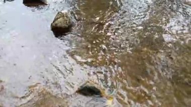 dağ nehri. Nehirlerin dibi çamurdan yapılmıştır. Hızlı su. Taşlar ve temiz su. Dar bir nehri olan manzara. dere ve şelale