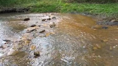 dağ nehri. Nehirlerin dibi çamurdan yapılmıştır. Hızlı su. Taşlar ve temiz su. Dar bir nehri olan manzara. dere ve şelale
