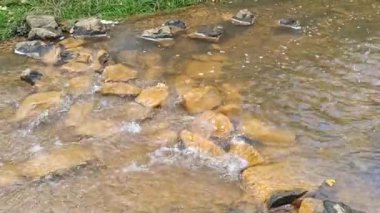 dağ nehri. Nehirlerin dibi çamurdan yapılmıştır. Hızlı su. Taşlar ve temiz su. Dar bir nehri olan manzara. dere ve şelale
