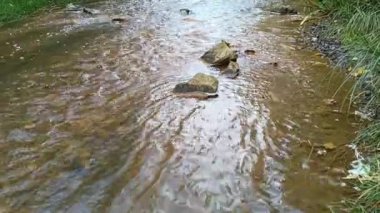 dağ nehri. Nehirlerin dibi çamurdan yapılmıştır. Hızlı su. Taşlar ve temiz su. Dar bir nehri olan manzara. dere ve şelale