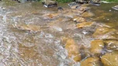 dağ nehri. Nehirlerin dibi çamurdan yapılmıştır. Hızlı su. Taşlar ve temiz su. Dar bir nehri olan manzara. dere ve şelale