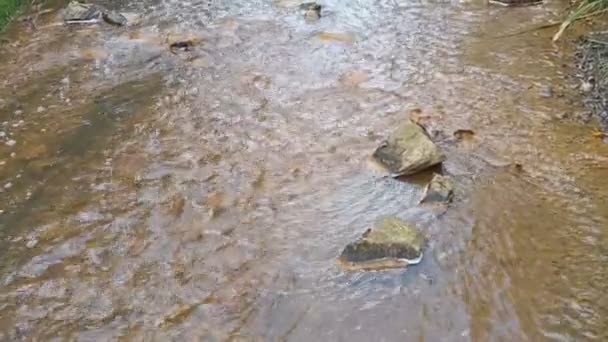 Rio Montanha Fundo Dos Rios Feito Barro Água Rápida Pedras — Vídeo de Stock
