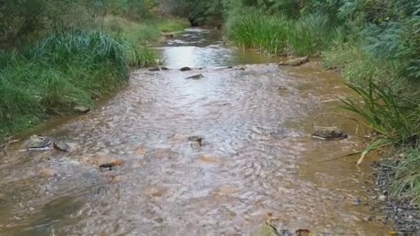 Dağ Nehri Nehirlerin Dibi Çamurdan Yapılmıştır Hızlı Taşlar Temiz Dar — Stok video