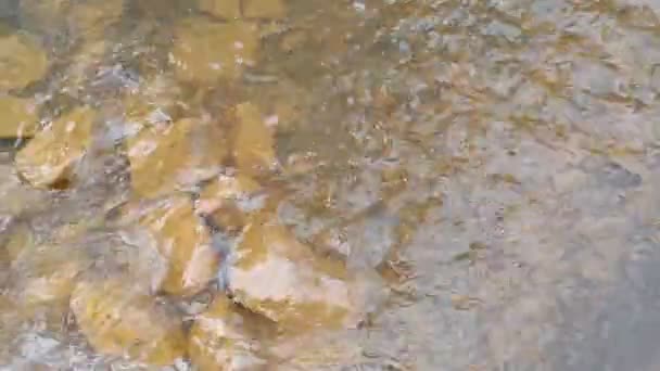 Горная Река Дно Рек Сделано Глины Быстрая Вода Камни Чистая — стоковое видео