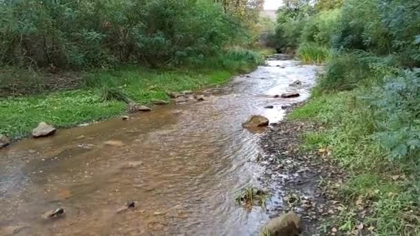 Bergsflod Flodernas Botten Gjord Lera Snabbt Vatten Stenar Och Klart — Stockvideo