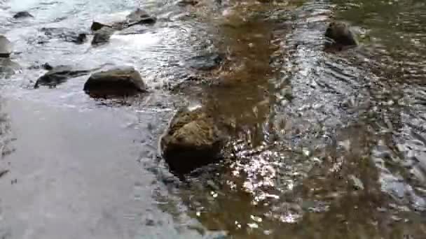 河流的底部是粘土做的 快速水 石头和清澈的水 一条狭窄的河流的风景 溪流及瀑布 — 图库视频影像