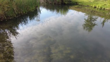 Temiz suyu olan küçük bir göl. Sudaki yansıma. Temiz su ve kum. Nehrin dibinde..