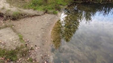 Temiz suyu olan küçük bir göl. Sudaki yansıma. Temiz su ve kum. Nehrin dibinde..
