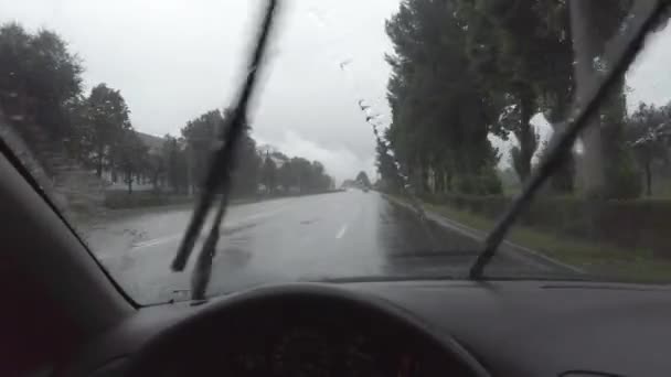 雨の中を運転してる 車の中で悪天候 フロントガラスに亀裂が入り — ストック動画