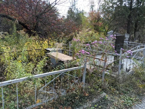 Alter Friedhof Herbst Grabsteine Denkmäler Auf Dem Friedhof — Stockfoto