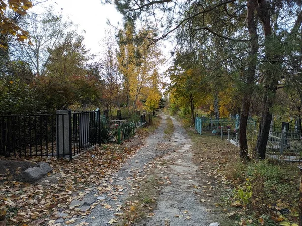 가을의 묘비요 묘지에 기념물들 — 스톡 사진