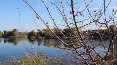 Güzel sonbahar manzarası. Ağaçlar ve suyla kaplı bir manzara. 4K video.