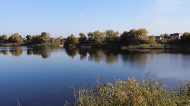 Красивий Осінній Пейзаж Краєвид Деревами Водою Відео — стокове відео