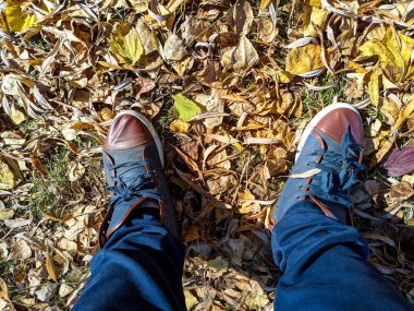 Sarı sonbahar lefeet üzerinde yürüyen ayaklar sarı sonbahar yaprakları üzerinde yürür. Spor ayakkabı ve yapraklar. Traves 'in üzerinde yürüyen bir adam. Spor ayakkabıları ve yapraklar. 