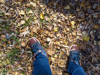 Sarı sonbahar lefeet üzerinde yürüyen ayaklar sarı sonbahar yaprakları üzerinde yürür. Spor ayakkabı ve yapraklar. Traves 'in üzerinde yürüyen bir adam. Spor ayakkabıları ve yapraklar. 