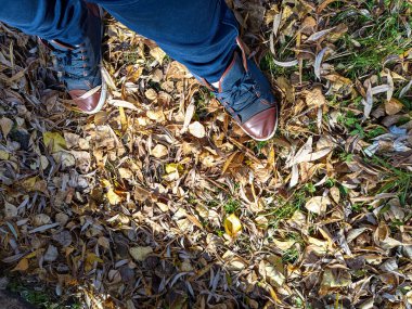 Sarı sonbahar lefeet üzerinde yürüyen ayaklar sarı sonbahar yaprakları üzerinde yürür. Spor ayakkabı ve yapraklar. Traves 'in üzerinde yürüyen bir adam. Spor ayakkabıları ve yapraklar. 