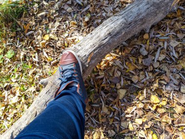 Sarı sonbahar lefeet üzerinde yürüyen ayaklar sarı sonbahar yaprakları üzerinde yürür. Spor ayakkabı ve yapraklar. Traves 'in üzerinde yürüyen bir adam. Spor ayakkabıları ve yapraklar. 