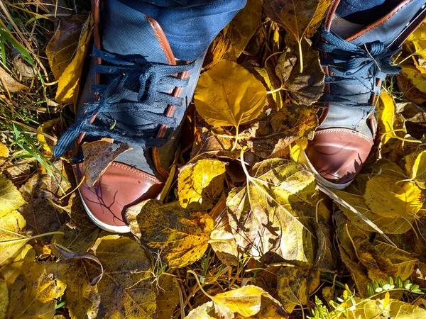 feet walk on yellow autumn lefeet walk on yellow autumn leaves. sneakers and leaves. a man walks on traves. sneakers and leaves.