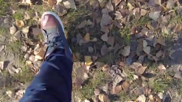 黄色の紅葉の葉の上を歩く足 スニーカーと葉 男は歩道を歩く スニーカーと葉 — ストック動画