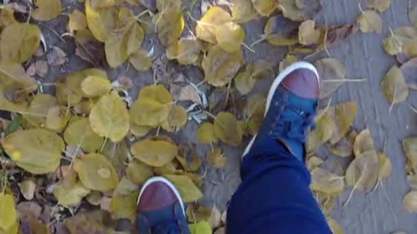 Voet Lopen Gele Herfst Lefeet Lopen Gele Herfst Bladeren Sneakers — Stockvideo