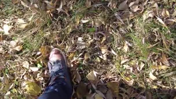 Pés Andam Lefeet Amarelos Outono Andam Folhas Amarelas Outono Sapatilhas — Vídeo de Stock
