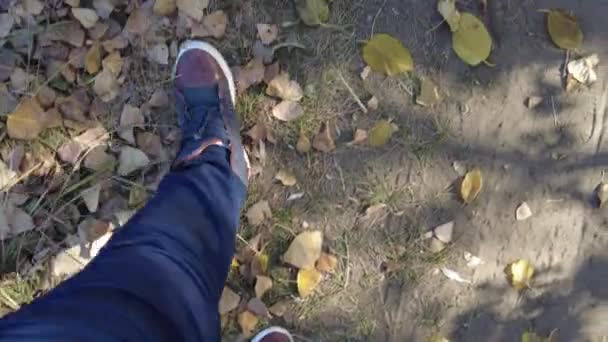 Voet Lopen Gele Herfst Lefeet Lopen Gele Herfst Bladeren Sneakers — Stockvideo