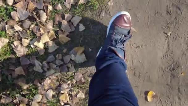 脚在黄秋的路上走脚在黄秋的树叶上走 运动鞋和树叶 一个人走在电车上 运动鞋和树叶 — 图库视频影像
