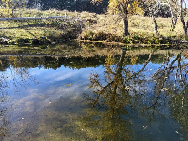 Rive Rivière Automne Eau Claire Dans Rivière Feuilles Jaunes Sur — Photo