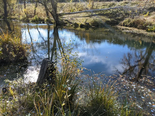 秋の川岸です 川の中の澄んだ水 水に黄色の葉 水の中の木の反射です サンディ ショア 秋の風景 自然の中を歩く — ストック写真