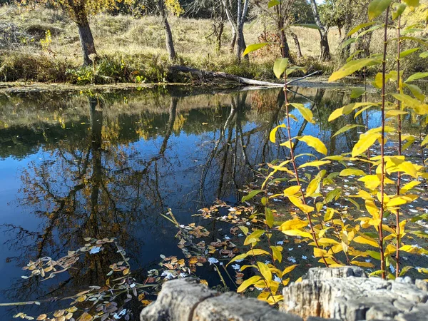 Břeh Řeky Podzim Čistá Voda Řece Žluté Listí Vodě Odraz — Stock fotografie