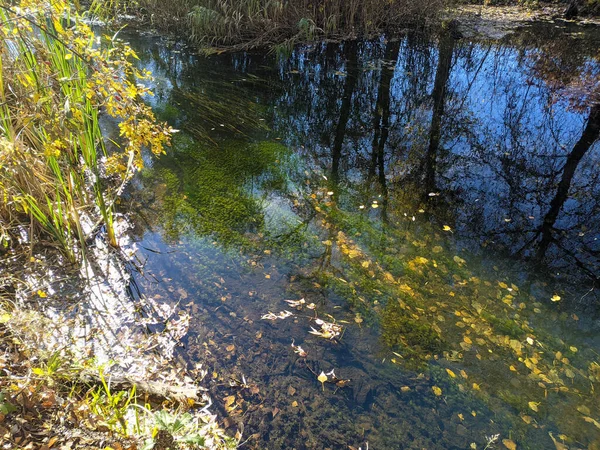 Margem Rio Outono Água Limpa Rio Folhas Amarelas Água Reflexão — Fotografia de Stock