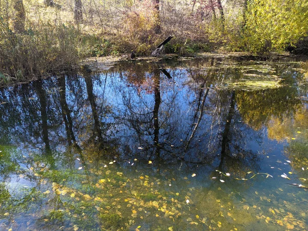 Břeh Řeky Podzim Čistá Voda Řece Žluté Listí Vodě Odraz — Stock fotografie