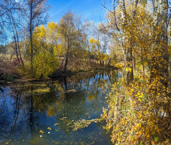 River Bank Autumn Clear Water River Yellow Leaves Water Reflection — Stock Photo, Image