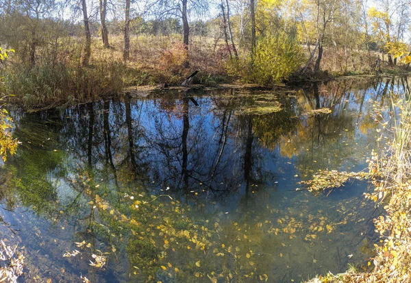 Brzeg Rzeki Jesienią Czysta Woda Rzece Żółte Liście Wodzie Odbicie — Zdjęcie stockowe