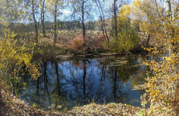 River Bank Autumn Clear Water River Yellow Leaves Water Reflection — Stock Photo, Image