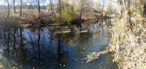 Břeh Řeky Podzim Čistá Voda Řece Žluté Listí Vodě Odraz — Stock fotografie