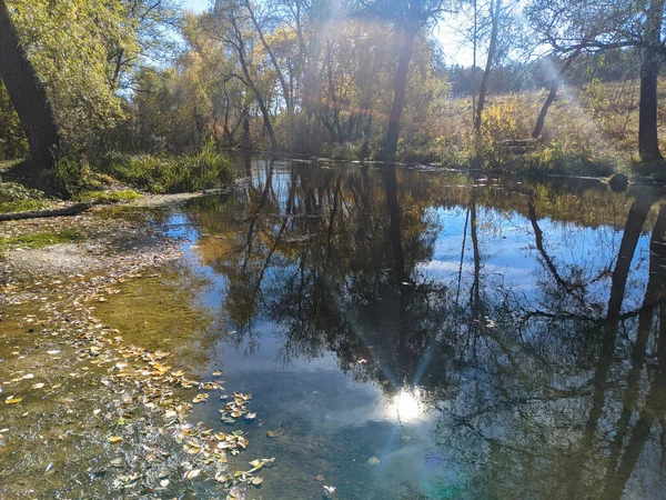 Flussbett Herbst Klares Wasser Fluss Gelbe Blätter Auf Dem Wasser — Stockfoto