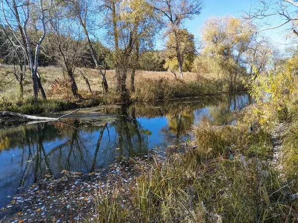 Όχθη Του Ποταμού Φθινόπωρο Καθαρό Νερό Στο Ποτάμι Κίτρινα Φύλλα — Φωτογραφία Αρχείου