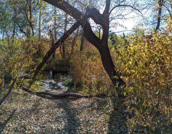Όχθη Του Ποταμού Φθινόπωρο Καθαρό Νερό Στο Ποτάμι Κίτρινα Φύλλα — Φωτογραφία Αρχείου